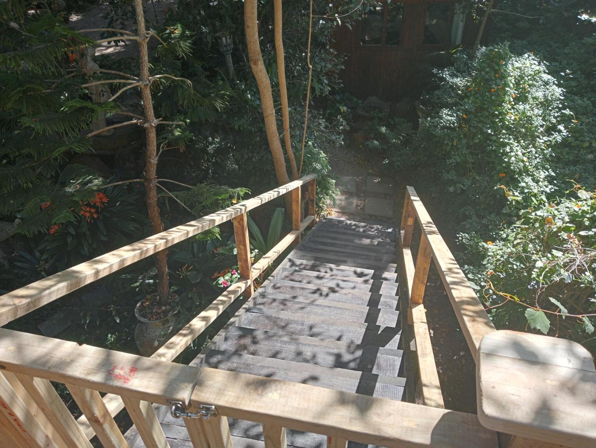 Nature'S Valley Health Retreat A Hide Away In The Forest Exterior photo